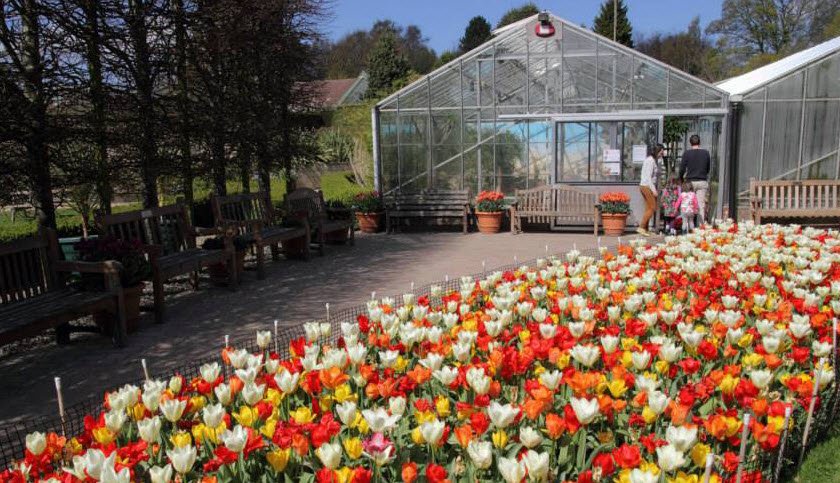 Botanic Garden, United Kingdom